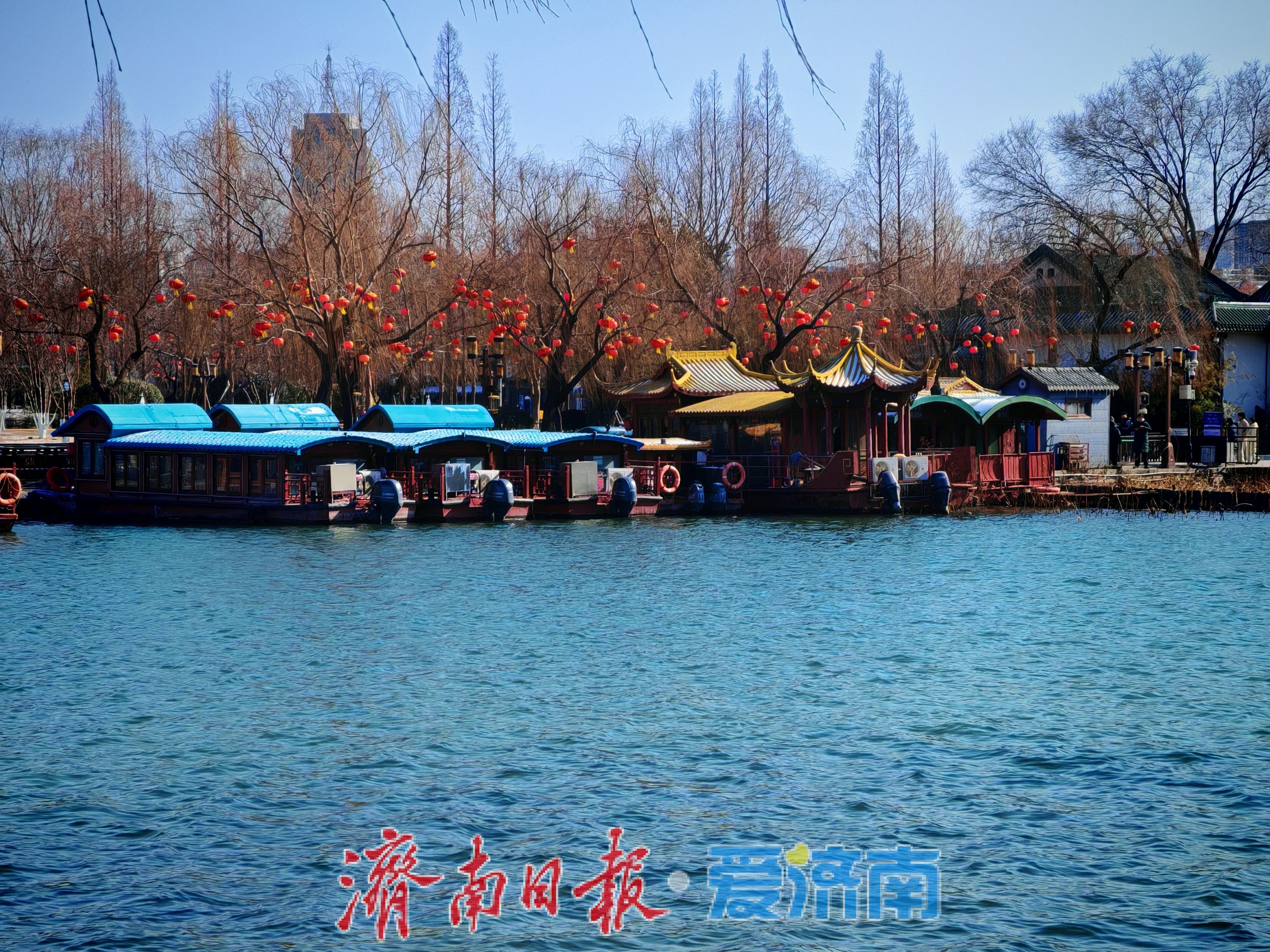 一年四季 泉在济南丨大明湖畔灯笼红 泉城迎春氛围渐浓