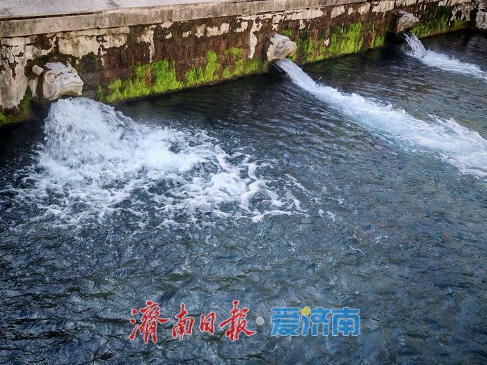 一年四季 泉在济南丨黑虎泉云雾蒸腾如临仙境