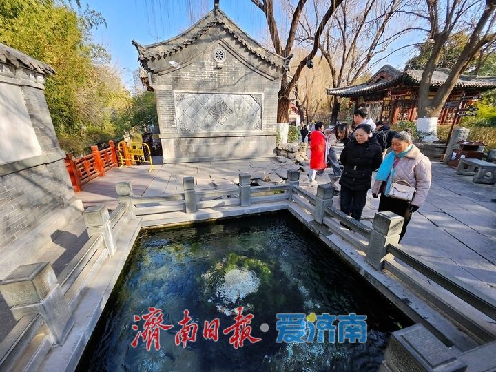 一年四季 泉在济南｜冬日暖阳下 游园正当时