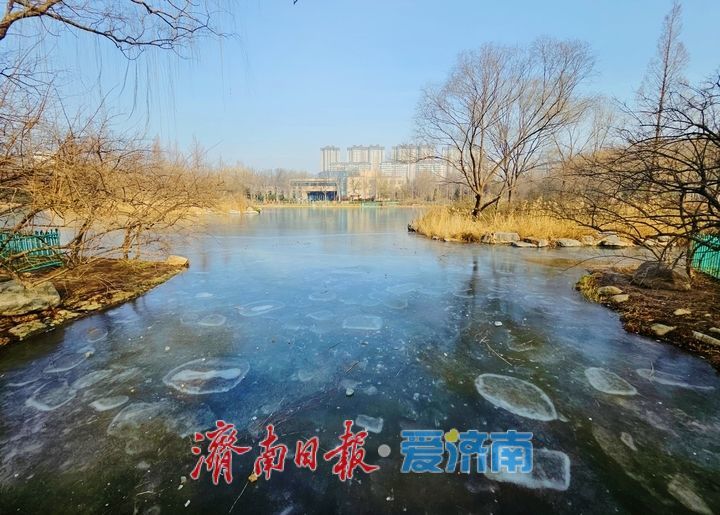 济南森林公园揽翠湖冰封宛如明镜