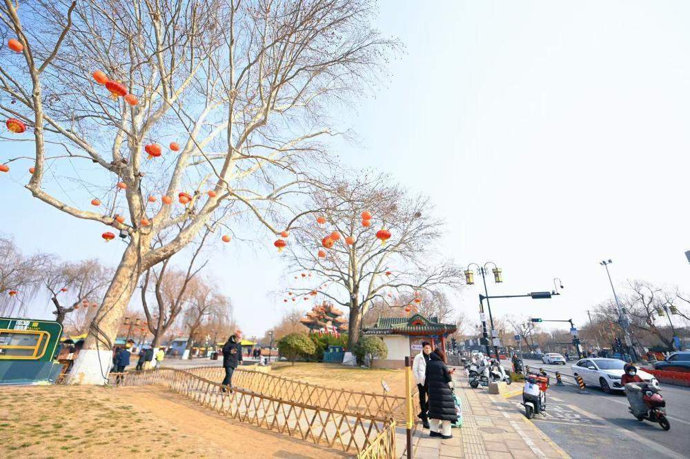 大红灯笼高高挂，济南大明湖畔春节氛围拉满