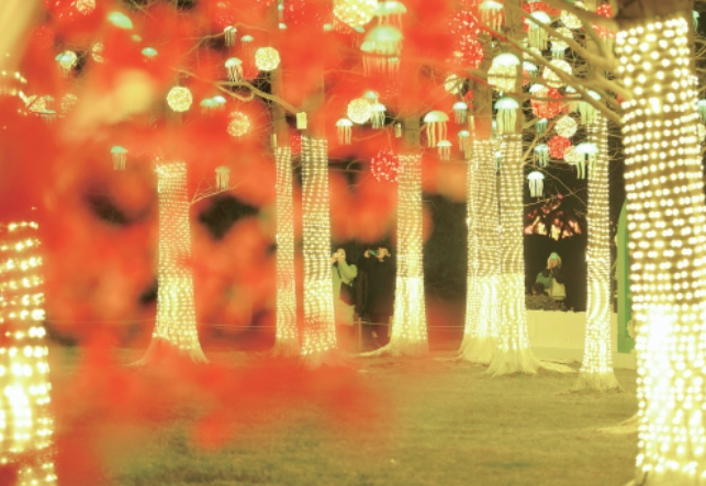 五龙潭公园点亮花涧秘境