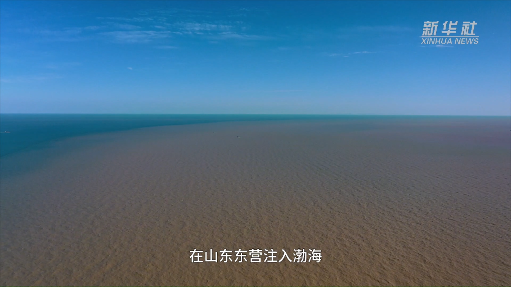 世界水日·黄河首尾对话｜黄河入海口：候鸟的选择