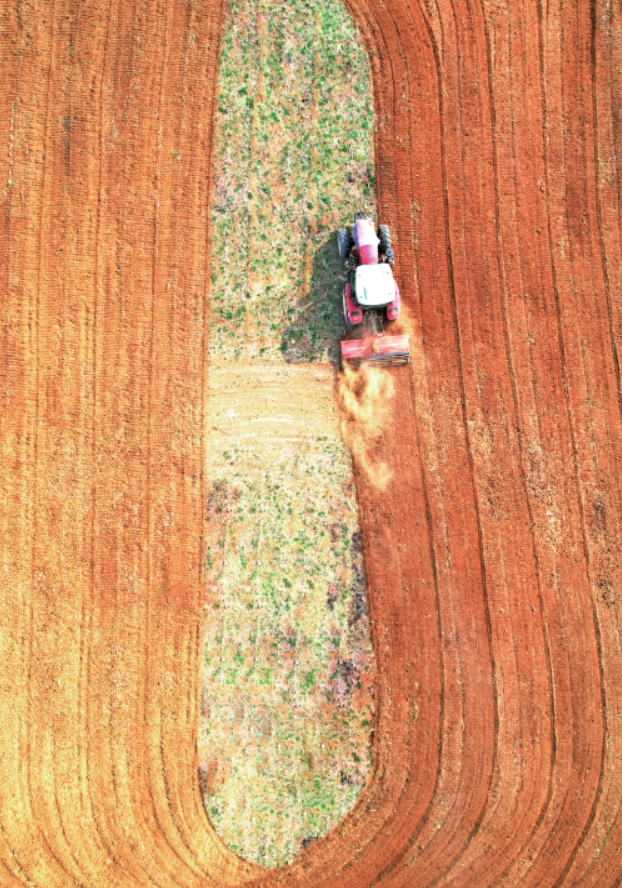 济南抢抓春日农时 乡间沃野春耕忙
