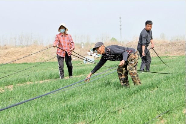 济南抢抓春日农时 乡间沃野春耕忙