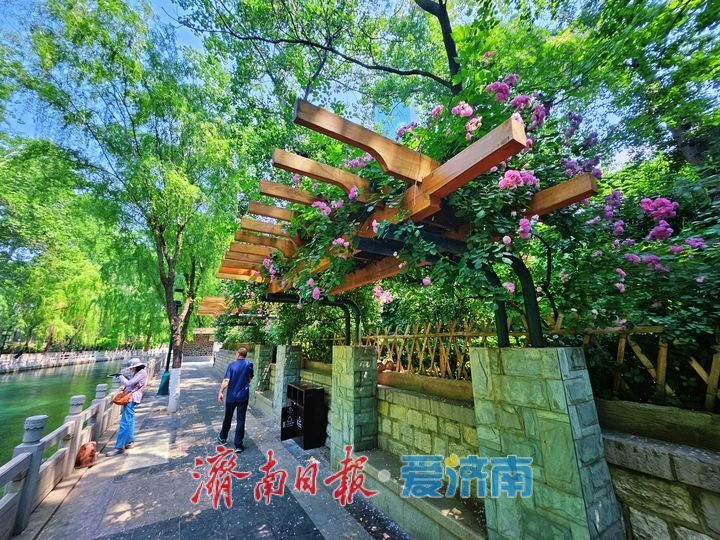 一年四季 泉在济南丨繁花映碧水 美景入画来