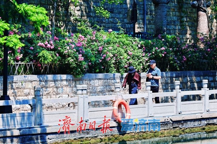 一年四季 泉在济南丨繁花映碧水 美景入画来