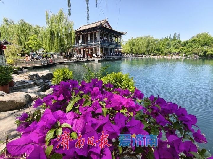 初夏五龙潭风光旖旎 游鱼戏水引客流连