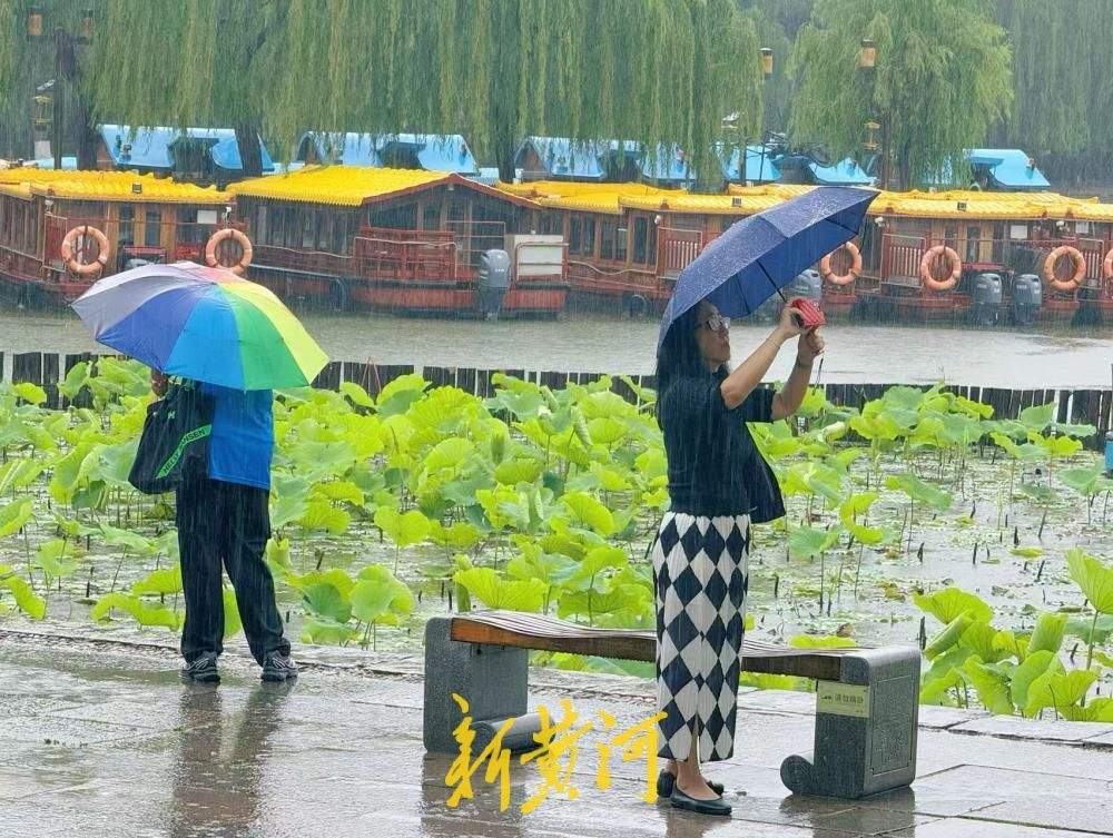 雨润明湖荷韵浓 济南烟雨风光醉游人