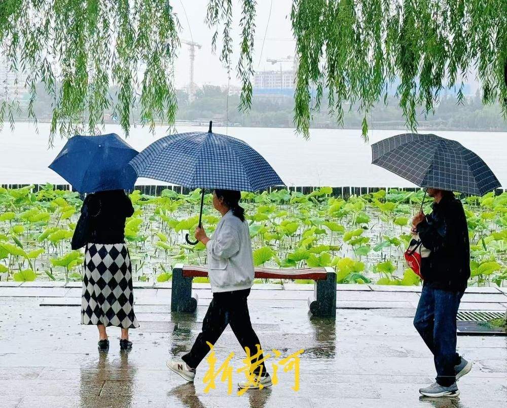 雨润明湖荷韵浓 济南烟雨风光醉游人