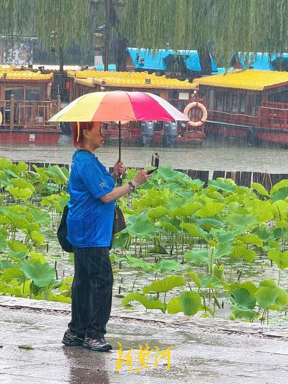 雨润明湖荷韵浓 济南烟雨风光醉游人