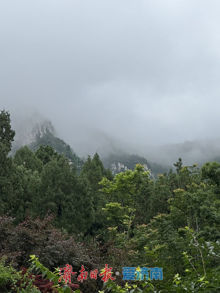 雨雾萦绕佛慧山 缥缈景致似仙境