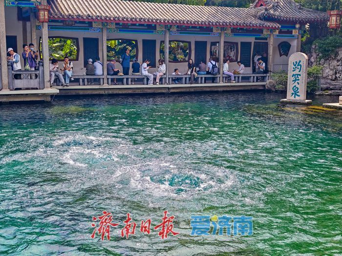 一年四季 泉在济南丨高位稳驻泉韵盎然 趵突泉29.21米水位持续在线引客打卡