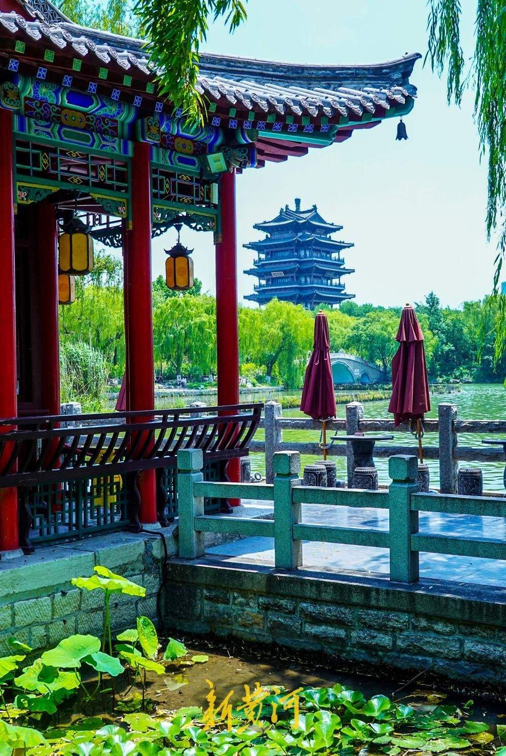 一年四季 泉在济南丨荷香消夏暑，大明湖荷花盛放成避暑热门地标