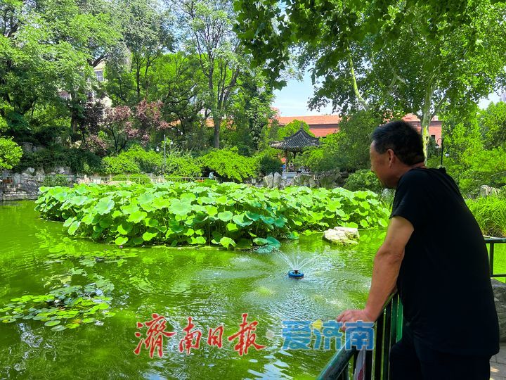 绿荫送清风 济南中山公园解锁夏日避暑好去处