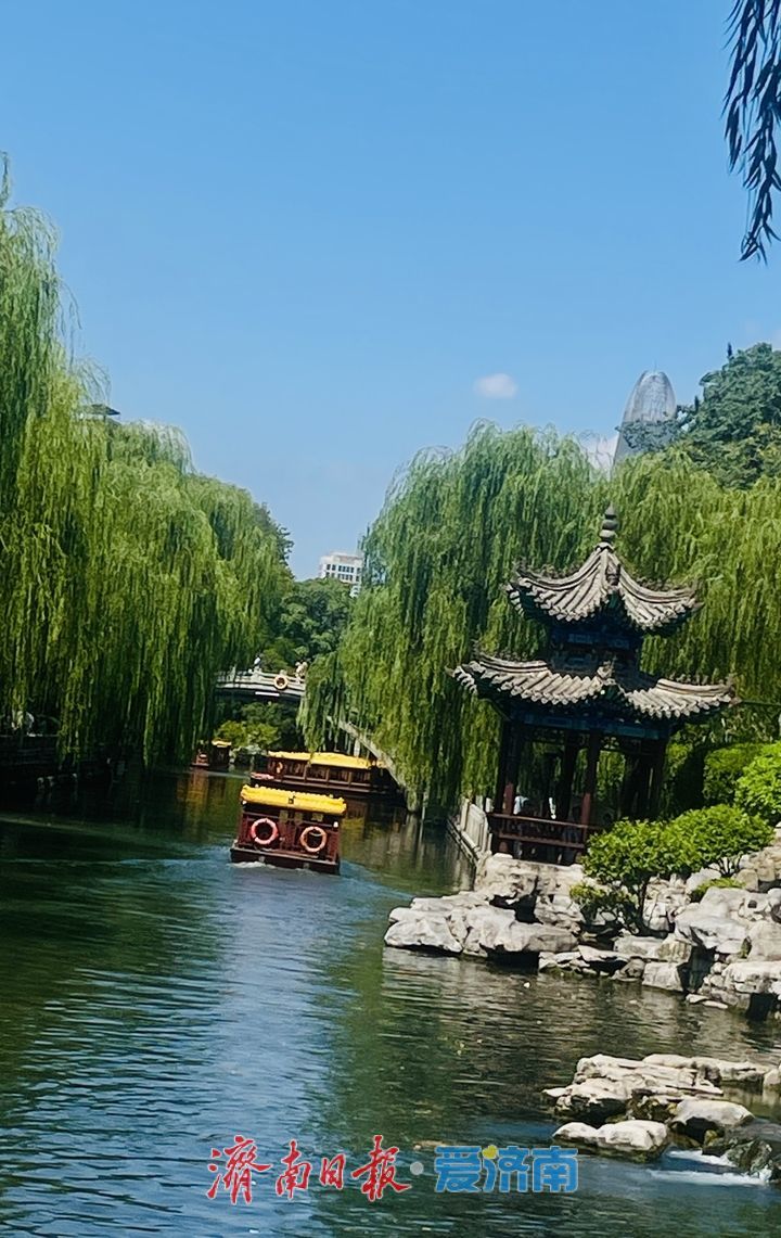 一年四季 泉在济南丨暑期亲泉纳凉 黑虎泉畔人气旺