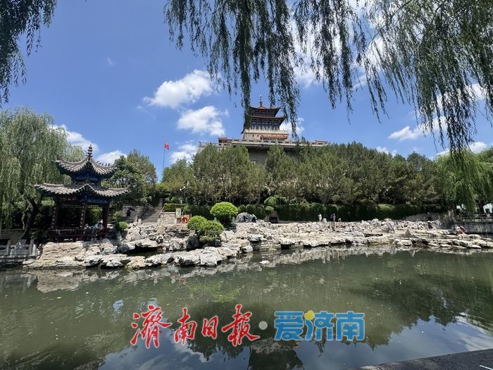 泛舟护城河畔 尽赏泉城夏日美景