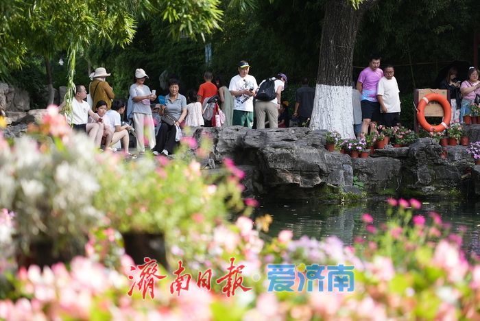 一年四季 泉在济南丨暑期赏泉正当时，亲水纳凉享盛夏乐趣