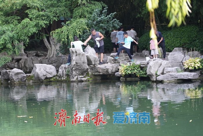 一年四季 泉在济南丨暑期赏泉正当时，亲水纳凉享盛夏乐趣