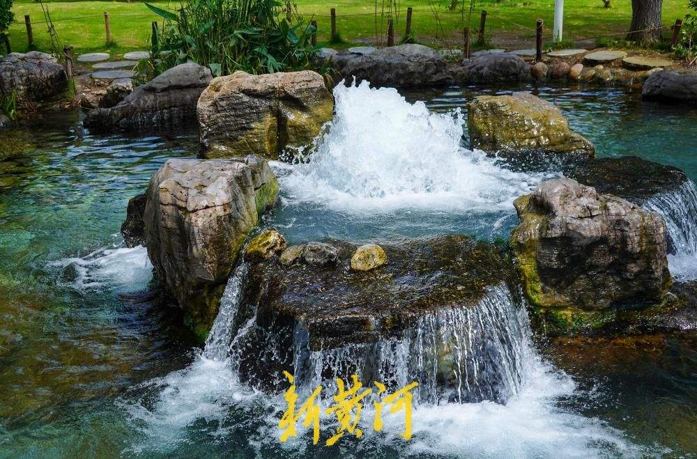 持续降雨补给充沛 济南白泉现“涌泉成瀑”盛景