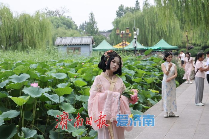 一年四季 泉在济南｜荷风送香！大明湖荷花盛放引游人打卡