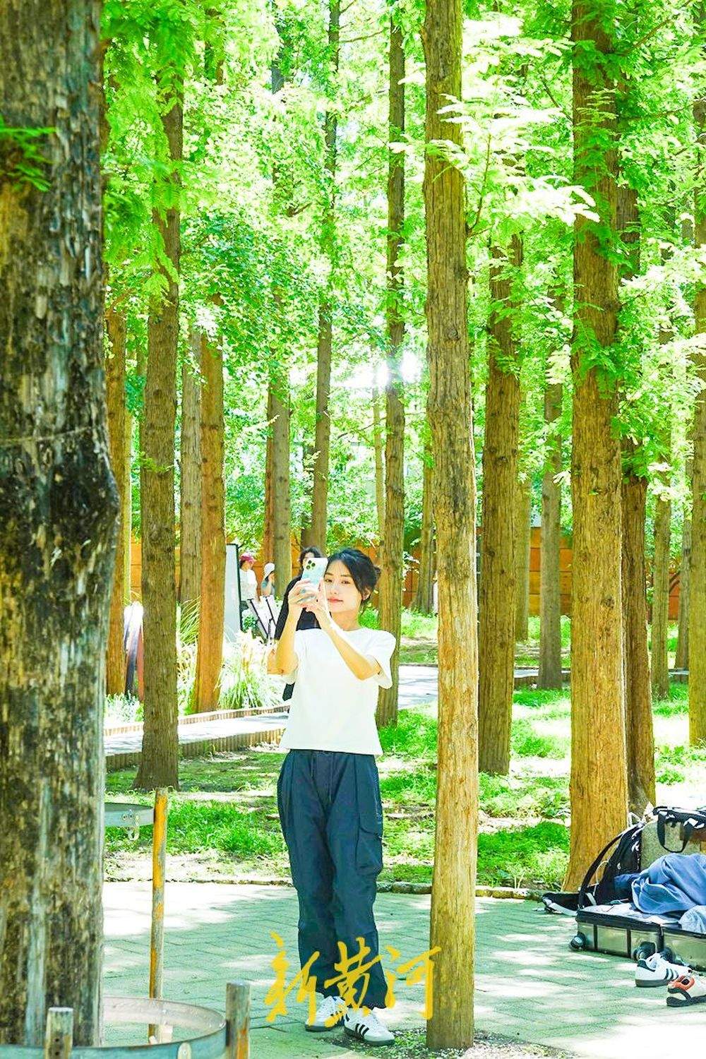 工业风邂逅水杉林,济南泉城公园打造“林间艺术空间”