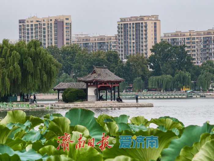 秋染大明湖，晨昏皆如画