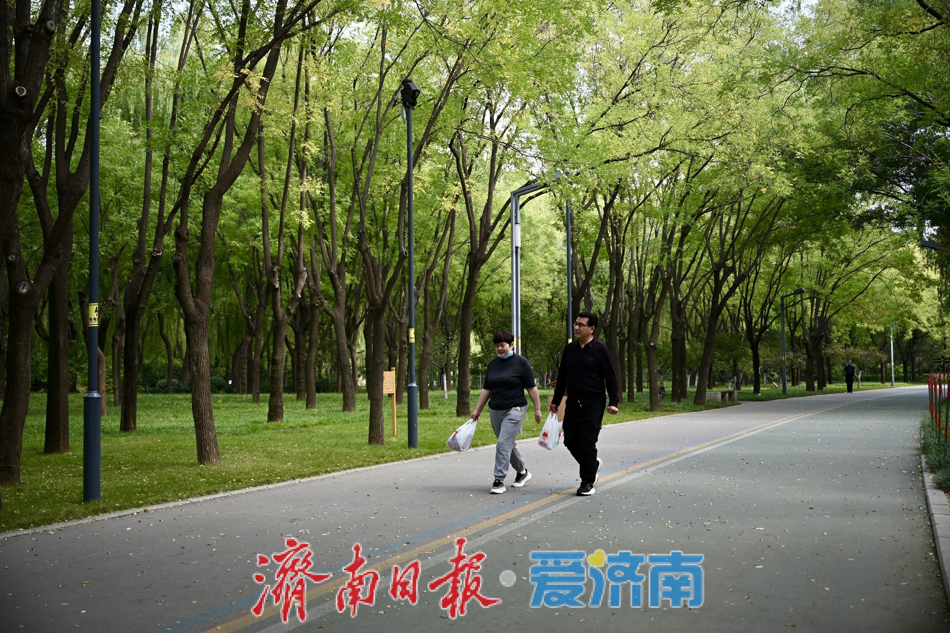 一年四季 泉在济南丨秋染林海景如画 济南森林公园乐享休闲好时光