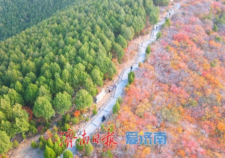 济南“鸳鸯锅”渐入佳境，蝎子山将迎赏红叶最佳时节