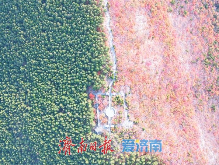 济南“鸳鸯锅”渐入佳境，蝎子山将迎赏红叶最佳时节
