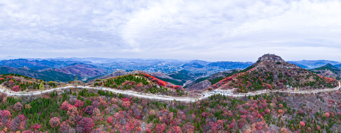 红叶热烈，荻花轻盈，济南丁子寨秋日山野美出圈