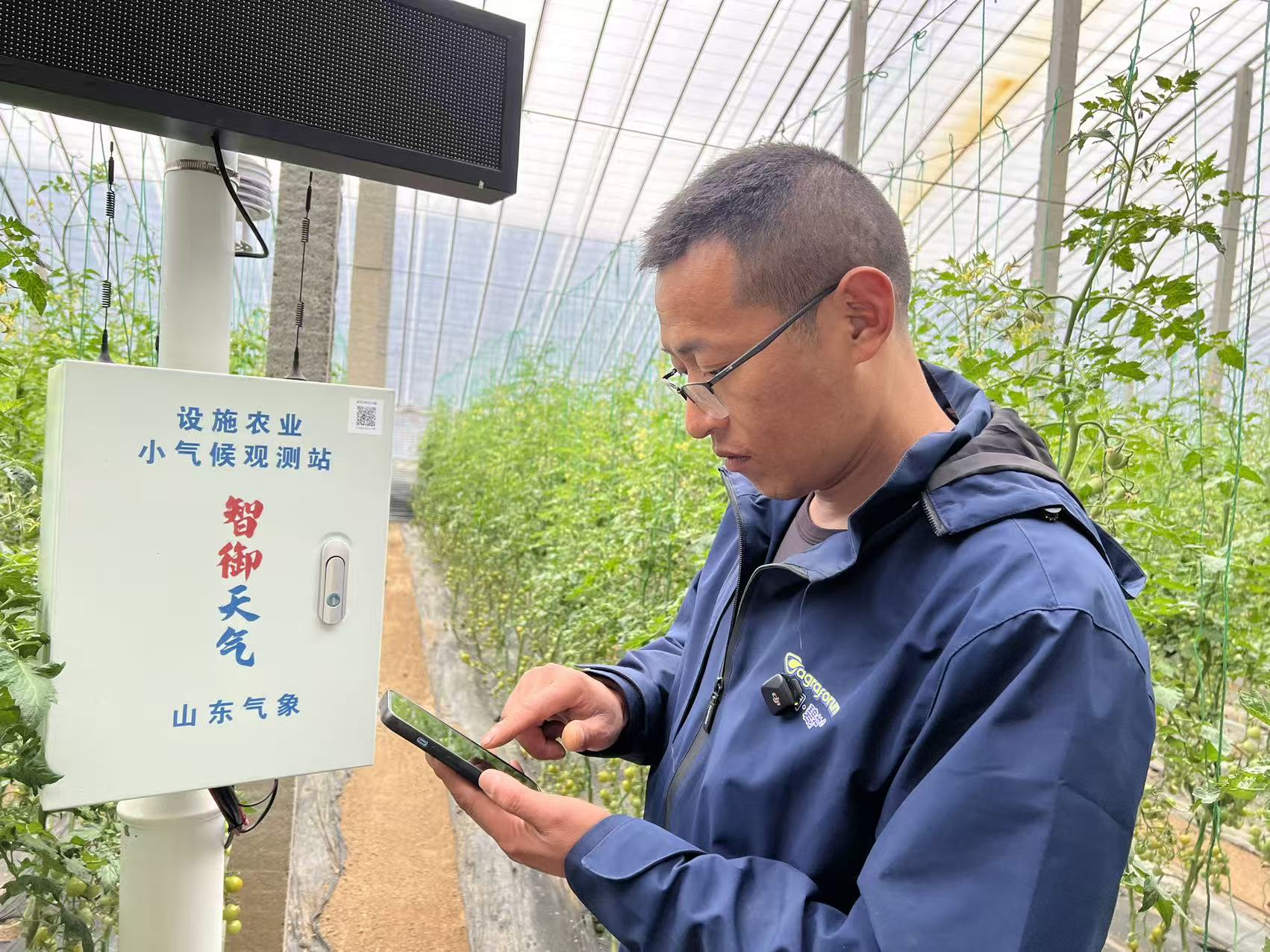 齐鲁丰景·乡约振兴&ensp;|&ensp;你的果盘里，为何总有这颗“青甜”？