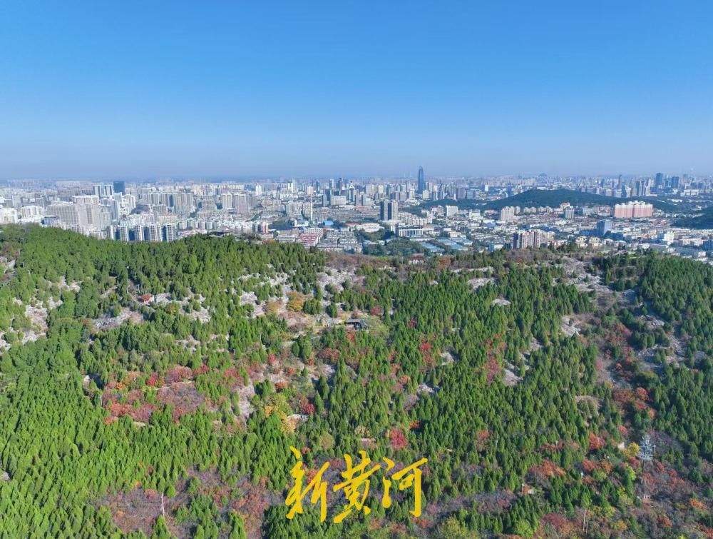 济南郎茂山满目青翠邂逅“泉城蓝”