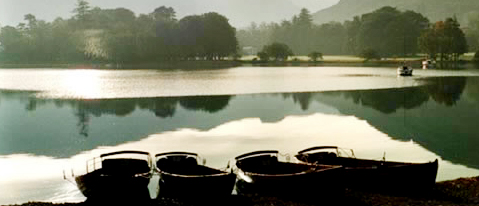 新华网山东频道