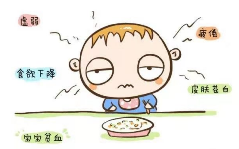 贫血宝宝家庭预防措施