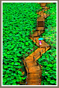 刘明珂摄影集《黄金岸线》 新华网山东频道