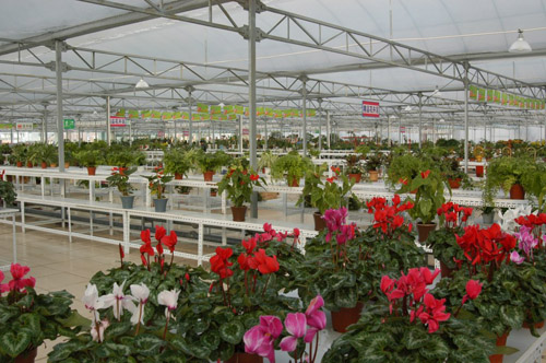 新华网临沂罗庄频道