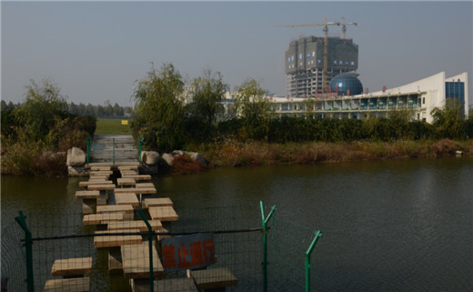 山东临沂:湿地公园建高尔夫球场 市发改委回应