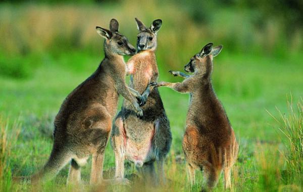 公务员职级晋升条件出炉 其他国公务员待遇咋