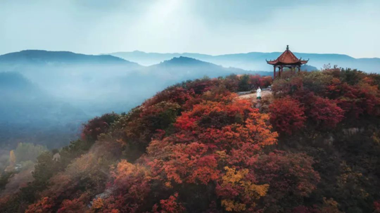 济南市章丘区红山翠谷景区漫山红叶红满天