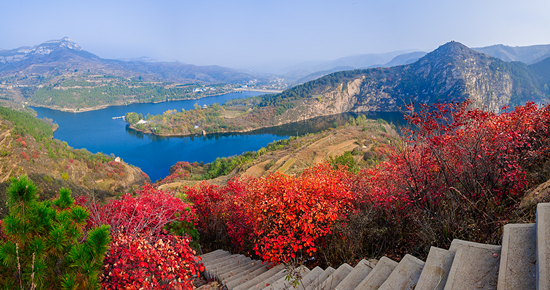 济南市章丘区红山翠谷景区:漫山红叶红满天