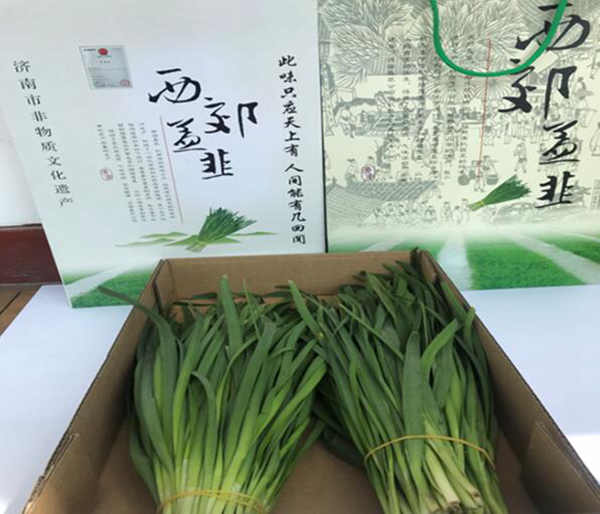济南槐荫玉清湖街道：水景扇形画擦亮“生态底色”