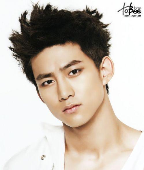 收入证明_韩国偶像明星收入(3)