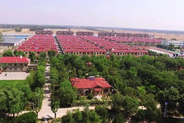 高起点打造乡村振兴齐鲁样板