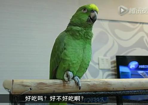 [<em>视频</em>]高校艺考大幕开启 预计今年竞争更激烈_