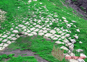 新华网山东蒙阴频道