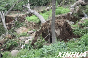 新华网莱芜气象频道