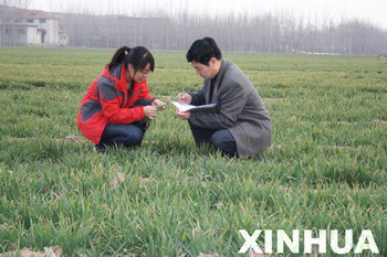 新华网济宁气象频道