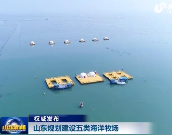 [视频]山东规划建设五类海洋牧场