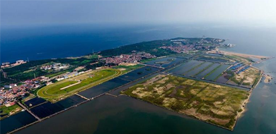 鸟瞰山东烟台养马岛